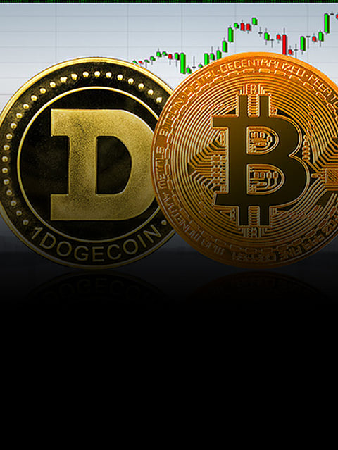 Dogecoin vs Bitcoin: Know the Difference