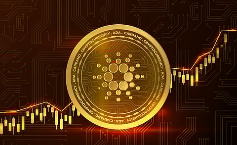 Top 5 Crypto Presales To Add To Your Portfolio