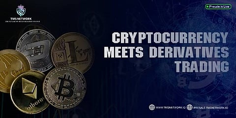 TMS Network (TMSN) Surges 2400% In Presale Phase, Outshining Binance (BNB) And Conflux (CFX)