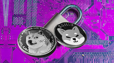 The Future Of Crypto: Commit To Locking Your Dogecoin And Shiba Inu In The Safest Kennel With Lockyourcrypto.com