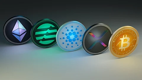 Monero (XMR) and XRP (XRP) are seen as strong long term investments, how do they compare with DigiToads 3000% Price Growth Prediction