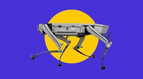 DribbleBot: A Four-Legged Robot Dribbling with Determination