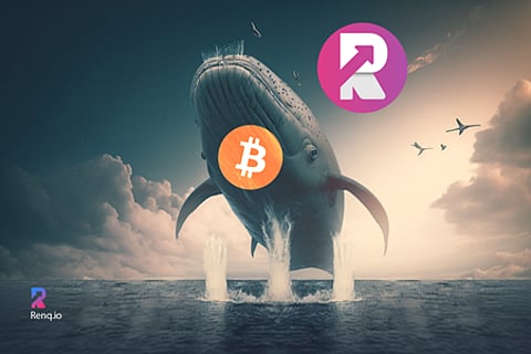 A whale who purchased Bitcoin (BTC) 10 years ago in 2013 has just invested in RenQ Finance (RENQ) presale