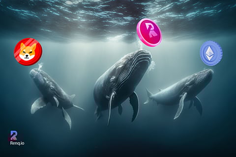 Shiba Inu (SHIB) faces a whale sell-off while Ethereum (ETH) and RenQ Finance (RENQ) are being piled up by the majority of the investors, Here’s why