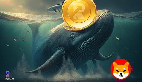 Shiba Inu (SHIB) with no price movement despite bullish market trends can see a massive whale sell-off, most could walk into the RenQ Finance (RENQ) Camp
