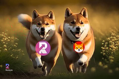 RenQ Finance (RENQ) is the next Shiba Inu (SHIB)