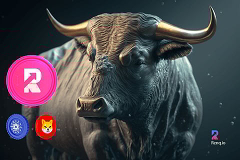 3 Cryptocurrencies below $3 that will multiply your returns in 2023: Cardano (ADA), Shiba Inu (SHIB) and RenQ Finance (RENQ)