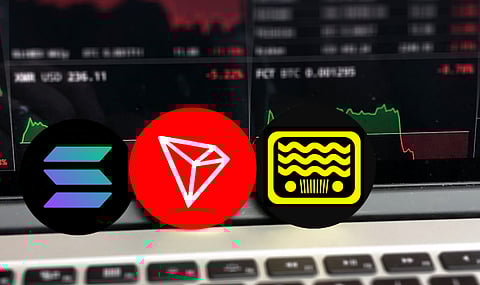 Best Cryptos For Long Term Growth: Solana, Script Network, and Tron