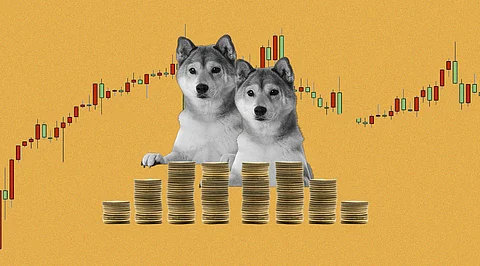 Shiba Inu Price Prediction for May 2023