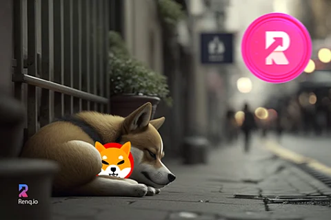 Exhausted Shiba Inu (SHIB) investors tired of watching it stagnant, start to move towards RenQ Finance (RENQ)