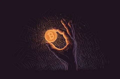 Bitcoin Dips Below $29,000, DigiToads Raises More than $2.6 Million in Presale