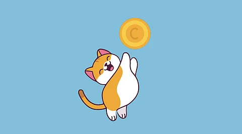 Catecoin Launches on ETHEREUM Chain: Why It Will Be a Success