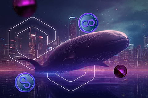 Polygon (MATIC) Bridge TVL Increases 52%, Collateral Network (COLT) Forecasted for 35x Returns