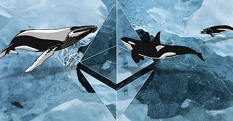 Avorak AI “Golden Ticket” event sparks investment from Ethereum whale