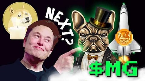 Elon Musk’s Warning to Dogecoin Investors: Millionaire Game Coin (MG), the Next Big Meme Coin?