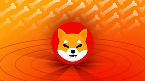 HedgeUp (HDUP) Mirrors The Success of Binance (BNB) and Shiba Inu (SHIB), Outperforming Market Sentiment