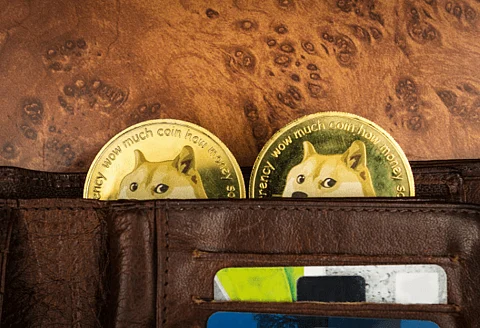 Traders Anticipate 3000% Profit From Digitoads (TOADS) New Rival to Dogecoin (DOGE) And Shiba Inu (SHIB)