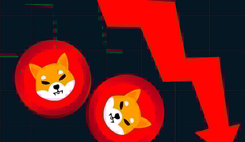 As Meme Coins like Shiba Inu (SHIB) Fizzle Out, DigiToads (TOADS) Proves It’s Here to Stay with Steady Growth