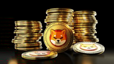 DigiToads (TOADS) could reach 100X in 2023 as Shiba Inu (SHIB) hype fades away