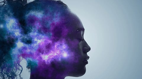 Understanding market cycles of Shiba Inu and Dogecoin using Avorak AI