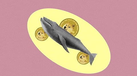 Shiba Inu is the Most Traded Crypto Among the Top 100 ETH Whales