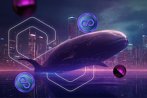 Tezos (XTZ) and Polygon (MATIC) Price Prediction 2023: Collateral Network (COLT) Dubbed The Next Crypto Biggy