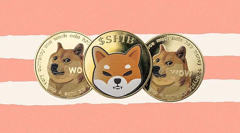 This Meme Coin Surged More than 100% in 24 Hours
