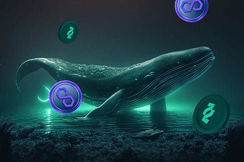 Tradecurve (TCRV) Is Outperforming Polygon (MATIC), Here’s Why