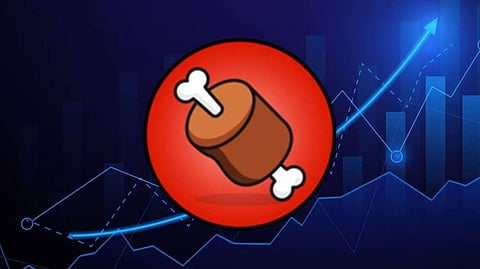 Is Shiba Inu’s BONE Going to Be Listed on Binance? HedgeUp (HDUP) Spikes Above BNB. Will this be the New Kid to Rock the Block?