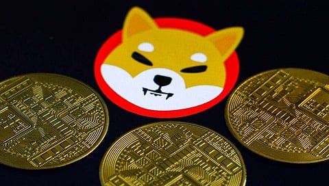 3 Crypto’s Below $3 to Change your Life Forever, Shiba Inu (SHIB), HedgeUp (HDUP), and Pepe (PEPE)