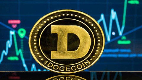 Anonymous Token Holder who Earned $80 million in Dogecoin (DOGE), Buys HedgeUp (HDUP), What does this holder Know?