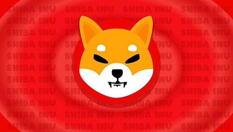 Babysitter to Millionaire: This Dogecoin and Shiba Inu Holder is Now Investing $500,000 Into HedgeUP (HDUP)