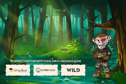 Chimpzee NFT Passports are More than Just a Financial Investment – Save Wildlife While Earning Passive Income