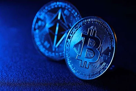 Crypto Revolution: Early Bitcoin and Ethereum Investors Find Gem In DigiToads