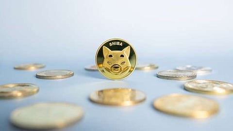 Analysts Predict a 1500% Spike for Shiba Inu (SHIB) and DigiToads (TOADS)