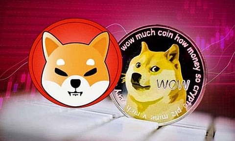 Will Dogecoin and Shiba Inu Follow The Pepe Pattern and Pump Post-Elon Musk’s Latest Tweet?