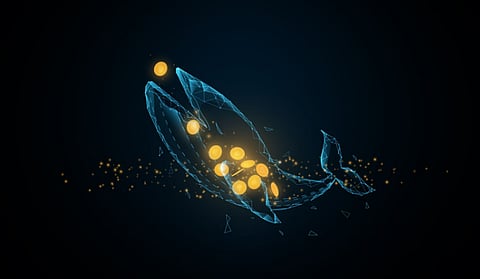 Crypto whales move 60M in Shiba Inu and Dogecoin, Tradecurve price surges 80%