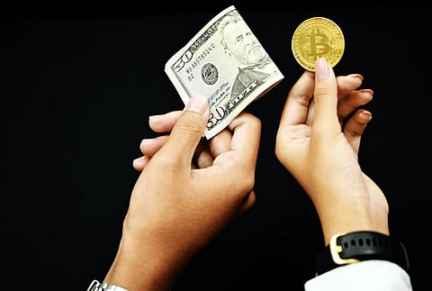 SHIB Investors boosting holdings in Avorak AI (AVRK) during last phases of the ICO