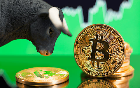 Bitcoin (BTC) Will Outlast All Other Crypto Assets, And Digitoads (TOADS) Will Reign As Meme Coin King In 2023