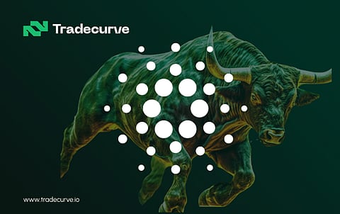 TCRV Attracts 12,500 Users: How Does it Compare to ADA and VET?