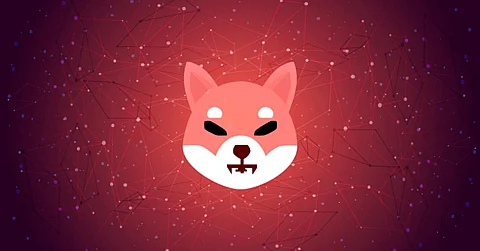 Shibarium Fizzles Out: Shiba Inu Community Left Disappointed