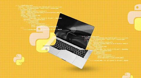 Top 10 Websites for Beginners to Learn Python for Free