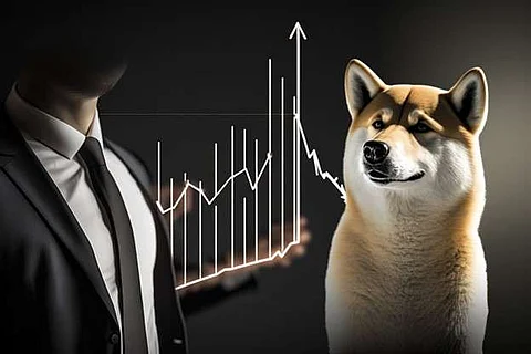 Dogecoin sees 8,220% activity spikes, Litecoin and Tradecurve price rallies