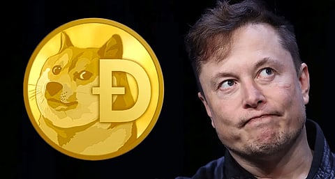 Get Rich in 2023! This New Meme Coin Is Set to Outshine its Competitors and Become the Next dogecoin.