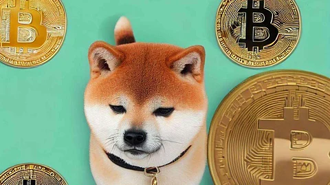 Shiba Inu Latest News: Microsoft AI Predicts SHIB Price for June. Here’s Why 10x Crypto HedgeUp Is So Attractive