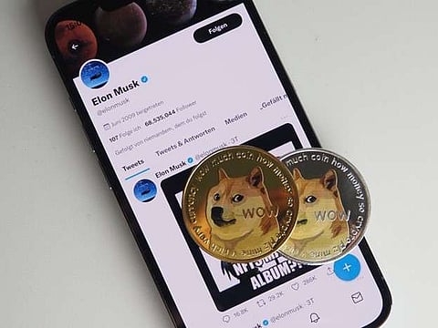 Elon Musk’s “Dogs” Tweet Boosts Dogecoin by 5.76% Amid Market Excitement, DigiToads will Follow Suit