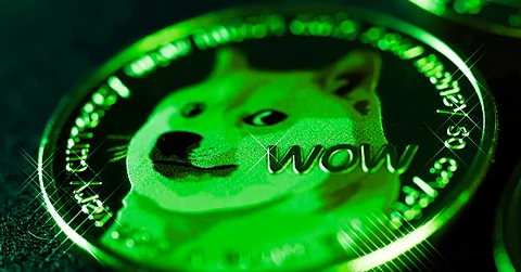 Uncover the Laziest Path to 100x Wealth: How This Ordinary Man Nonchalantly Raked in 10,000% Profits with Dogecoin (DOGE)