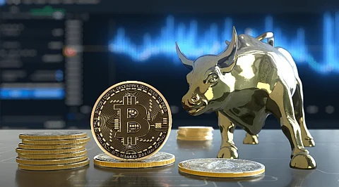 Government Transfers $300M Worth of Bitcoin, DigiToads Poised for 100X growth potential