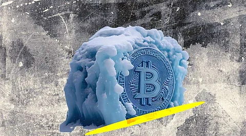 What is Crypto Winter? How to Survive it?