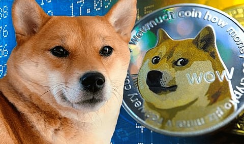 Top 3 Coins To Buy in July 2023: Anarchy (ANA), Shiba Inu, ANKR